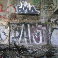 Dart