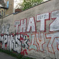 Zoe Thatz BMP NHS Lyte