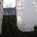 Roxor Spair