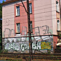 Raice Pin