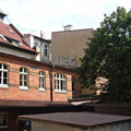 Raice