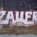 Zauer