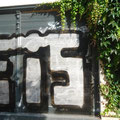 EIS