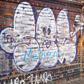 Sel