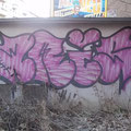 Aris