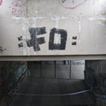 FO