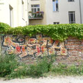 Dista