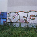 DFG
