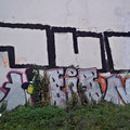 1UP EIS