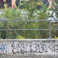 Köter