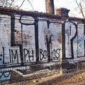 Limph