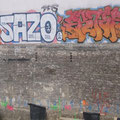 Sazo Ektor