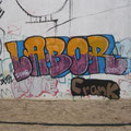 Labor