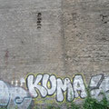 Kuma