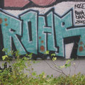 Rohr