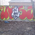 Insa