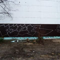 Teer