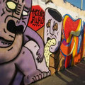 Texas Furo