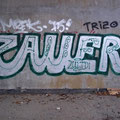 Zauer