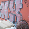 Salk