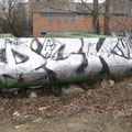 DCK