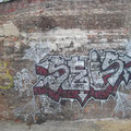 Seis