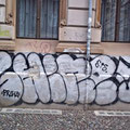 Shine