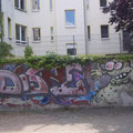 Disne