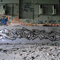Teer