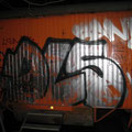 DLS