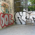Igor RCR