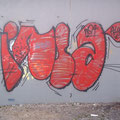 Insa