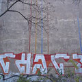 Thatz