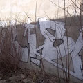 Aris