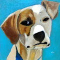 JACK RUSSEL 15CM X 15CM  huile