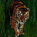 Tigre du Caucase huile