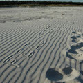 Spuren: Sandstrand in Dueodde / Bornholm