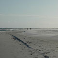 Panorama: Sandstrand in Dueodde / Bornholm