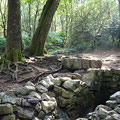 Forêt de Brocéliande