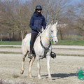 Photo: distanzreitsport.ch / jen-fotografie.ch