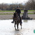 Photo: distanzreitsport.ch / jen-fotografie.ch