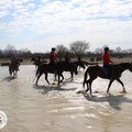 Photo: distanzreitsport.ch / jen-fotografie.ch