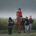 Kasandra - der erste 160er - Rambouillet (FRA) 2012