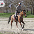 Photo: distanzreitsport.ch / jen-fotografie.ch