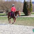 Photo: distanzreitsport.ch / jen-fotografie.ch