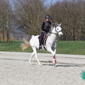 Photo: distanzreitsport.ch / jen-fotografie.ch