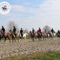 Photo: distanzreitsport.ch / jen-fotografie.ch