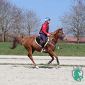 Photo: distanzreitsport.ch / jen-fotografie.ch