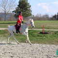 Photo: distanzreitsport.ch / jen-fotografie.ch