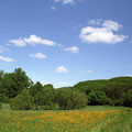 Kerkerbachtal.